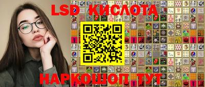 прущие грибы Гатчина