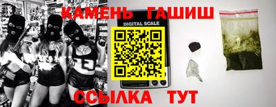 прущие грибы Гатчина