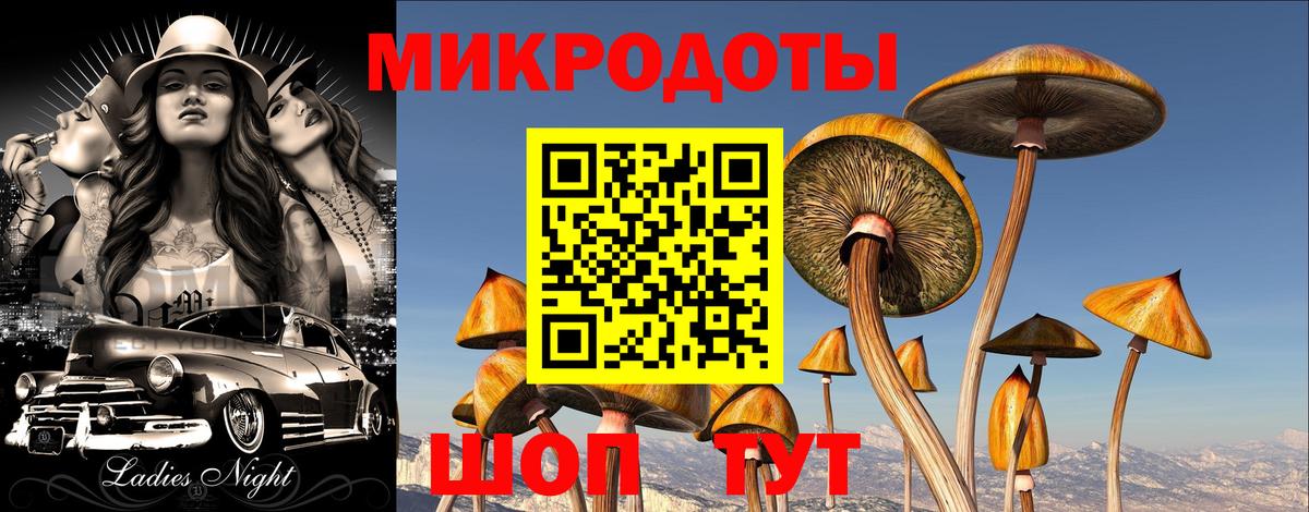 купить наркотики цена  Галлюциногенные грибы Psilocybine cubensis  Дзержинский  Галлюциногенные грибы мухоморы 