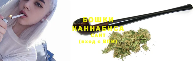 Бошки марихуана OG Kush  Дзержинский 